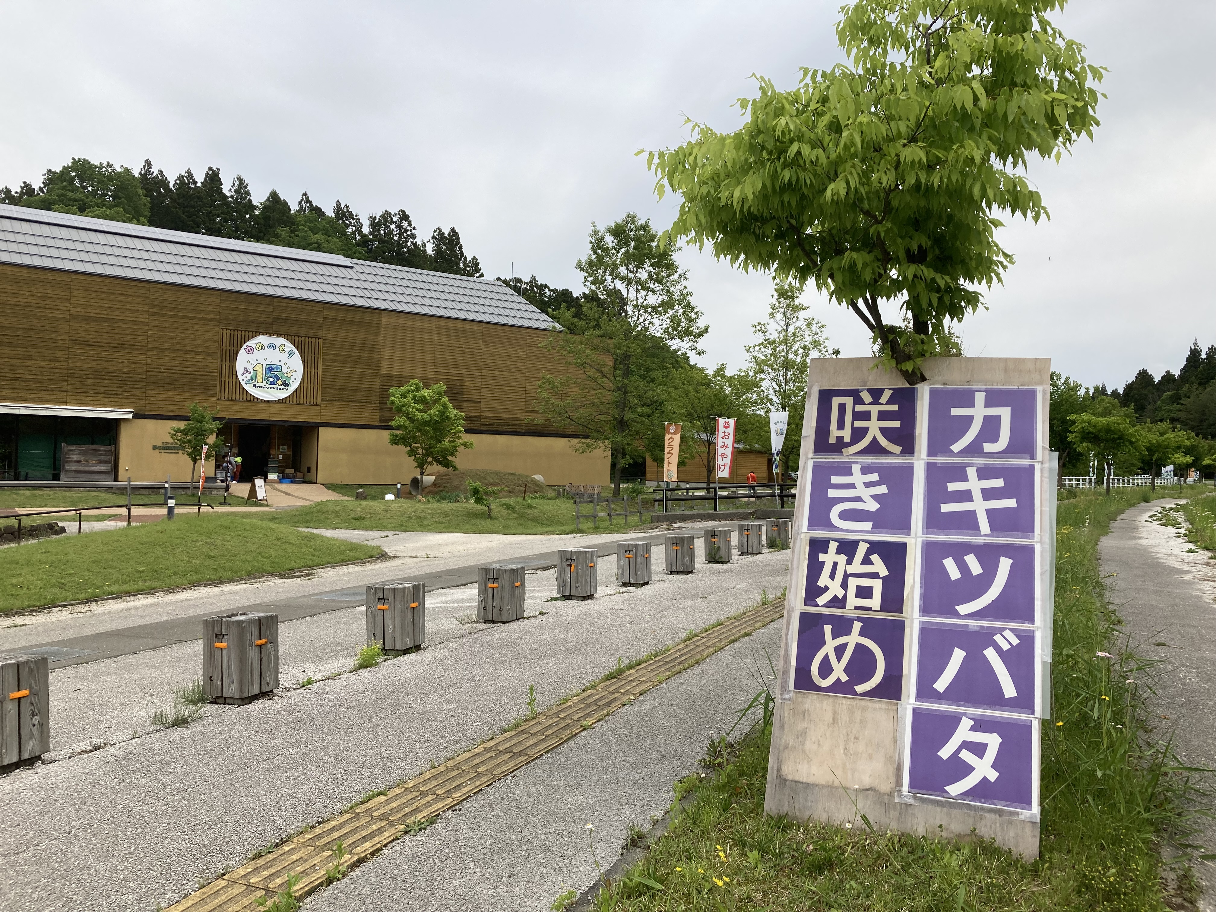 街ネタコーナー「柏崎・夢の森公園 カキツバタまつり2022」が始まりました！