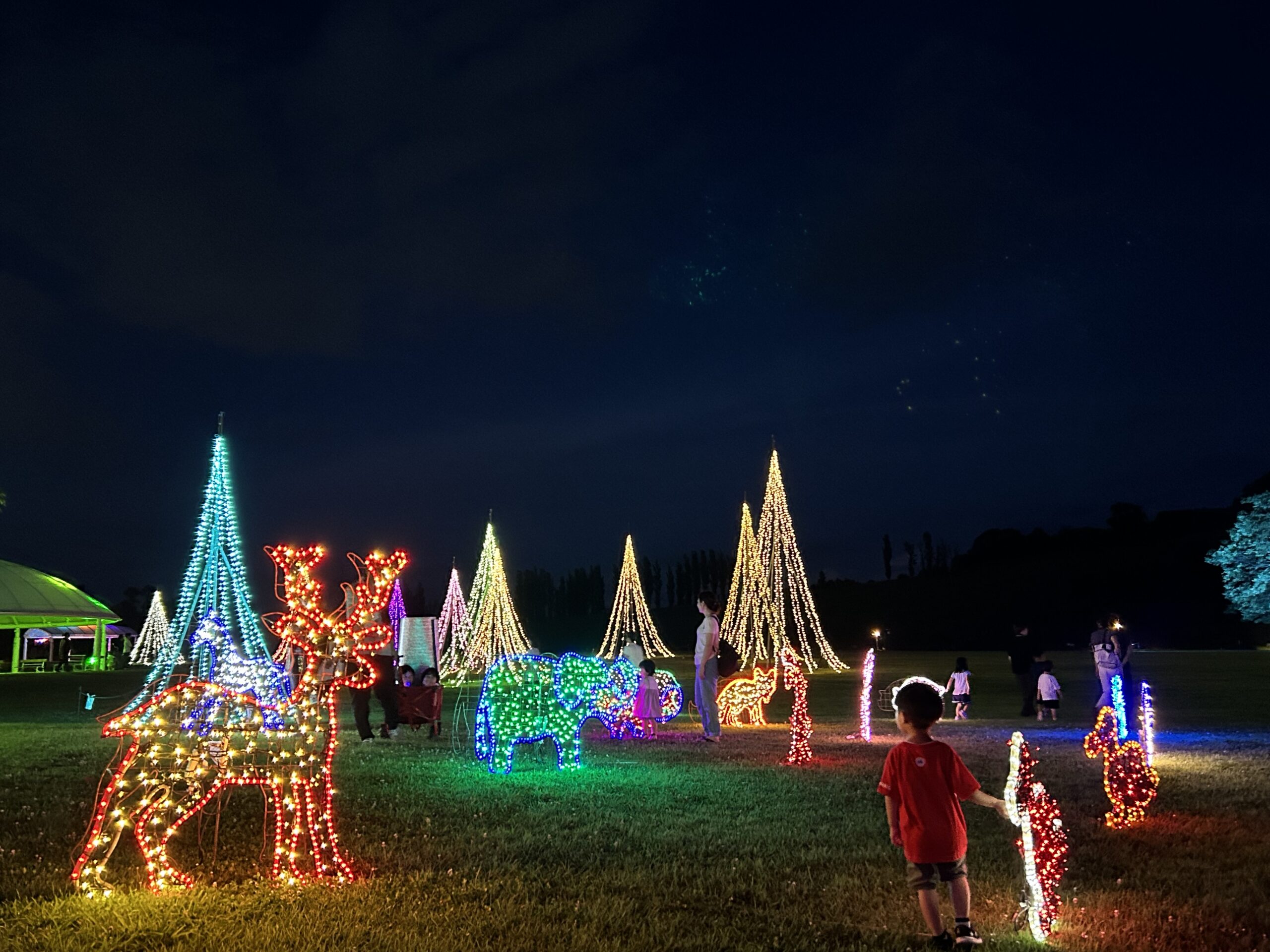 【長岡】8/9（土）～8/31（日）の土日祝、8/12（火）～15（金）国営越後丘陵公園「サマーナイト★ピクニック」
