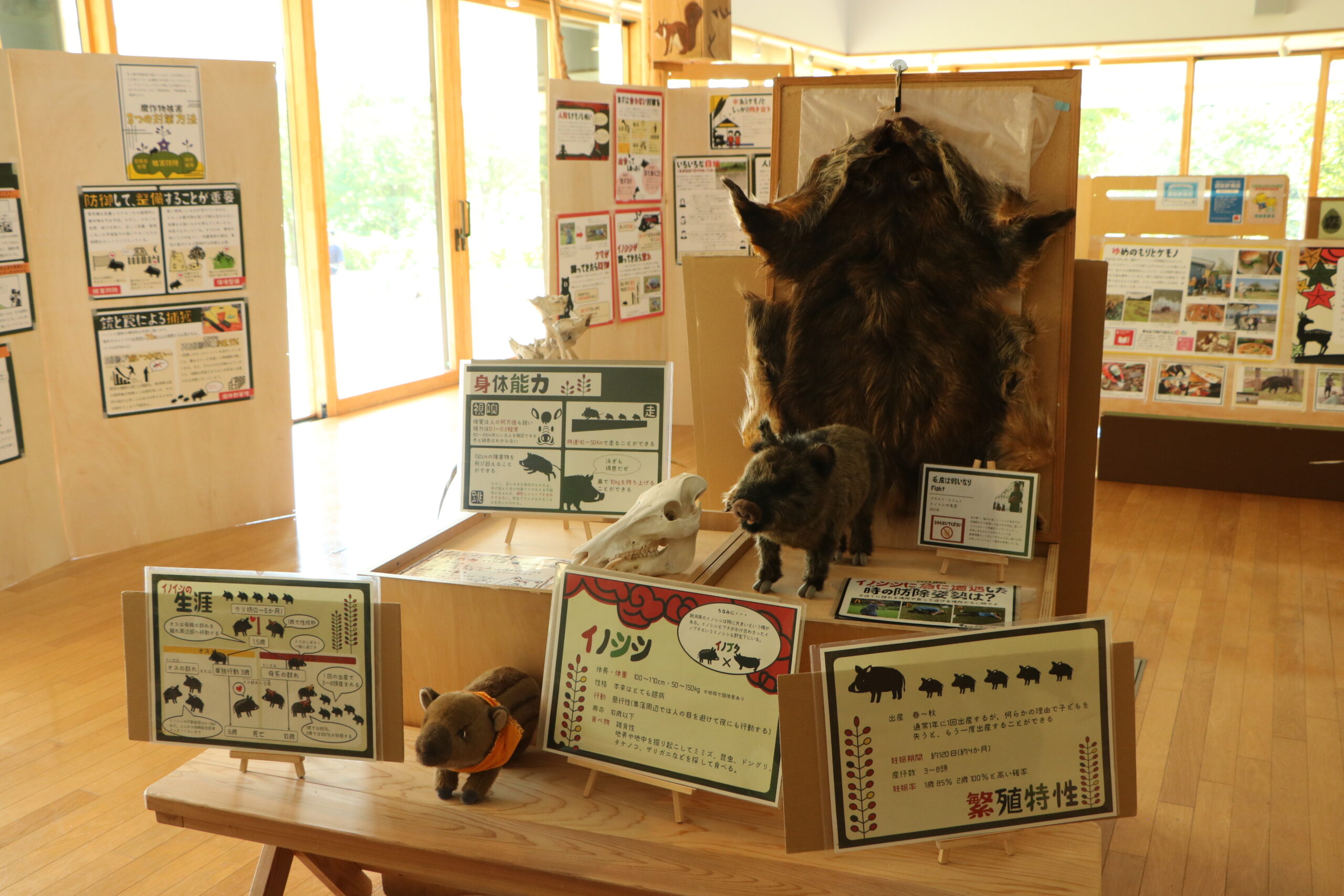 【柏崎】9/13(土)～11/30（日）柏崎・夢の森公園「ケモノ展」
