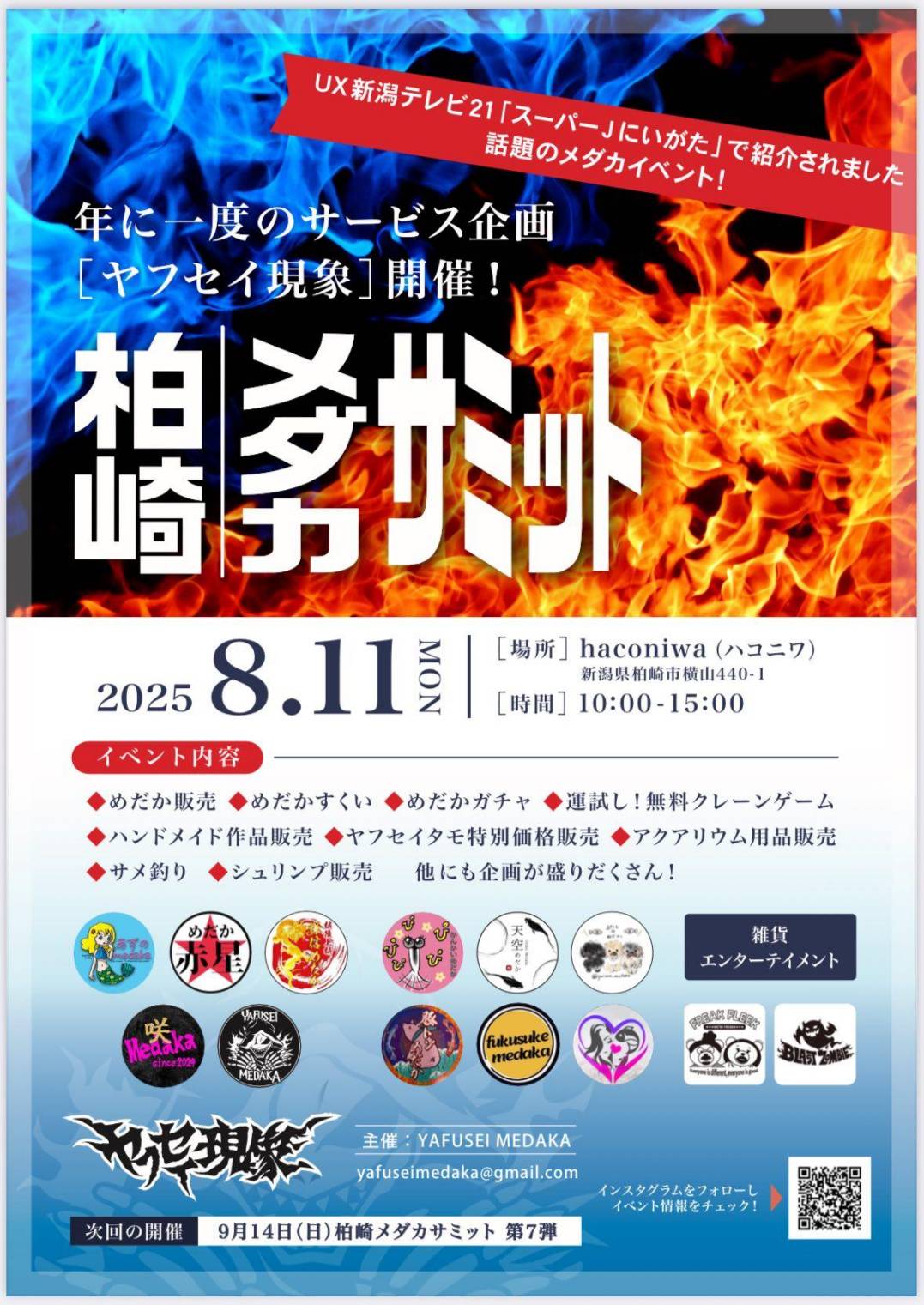 【柏崎】8/11（月）柏崎メダカサミット 　年に一度のサービス企画 【ヤフセイ現象】