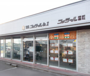 seasun2510_web_フォラール