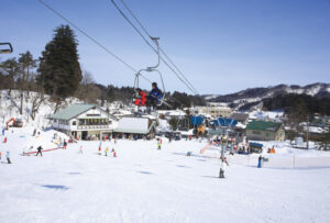 seasun2601_スキーこどもの日