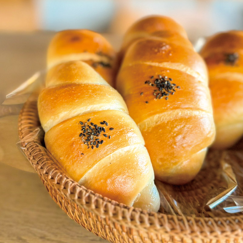 seasun2604_しましま